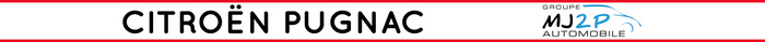 CITROEN PUGNAC