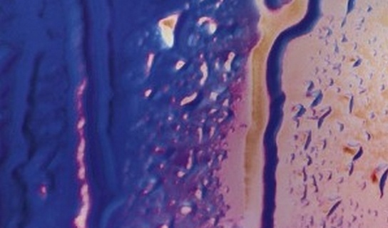 Promotion  — Visibilité & Sécurité avant tout !